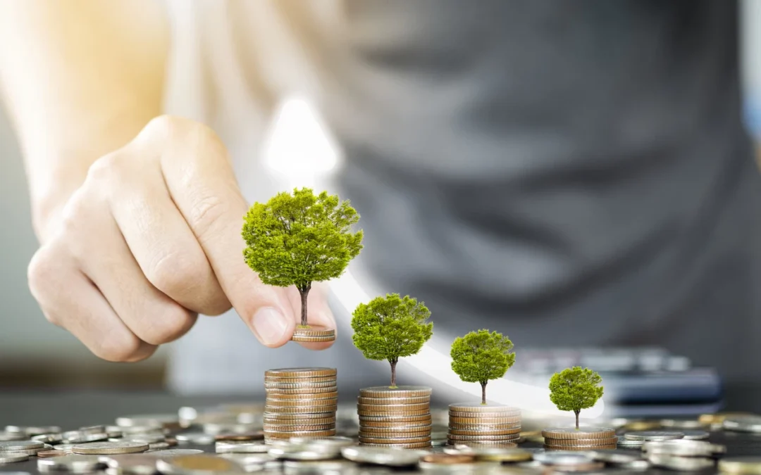 Garantiza tu inversión con la cláusula de inspección